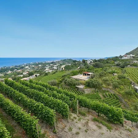 Tenuta C'est La Vie Feriested 2*